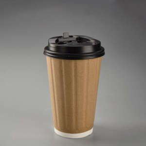 Biodegradable Hot Beverage Paper Containers with Lids